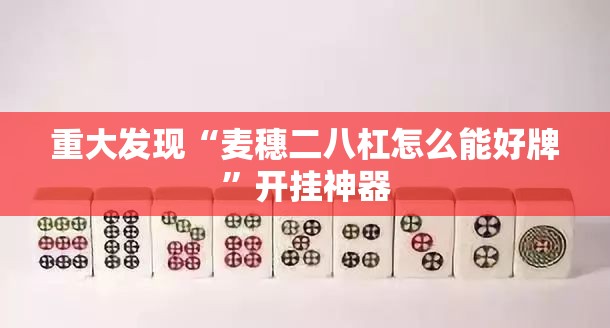 重大发现“麦穗二八杠怎么能好牌”开挂神器
