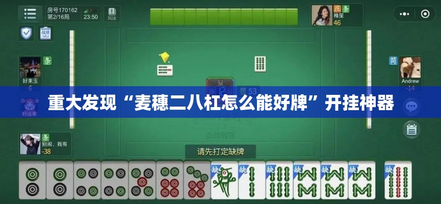 重大发现“麦穗二八杠怎么能好牌”开挂神器