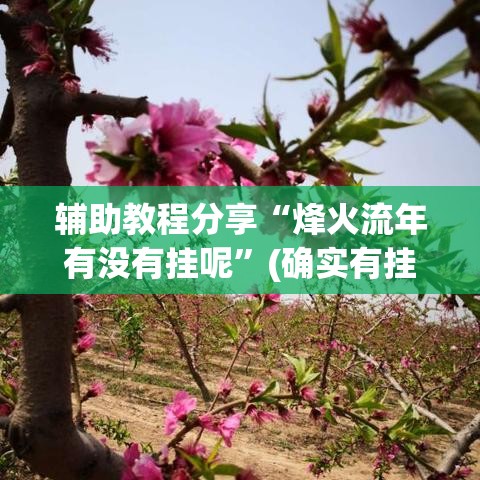 辅助教程分享“烽火流年有没有挂呢”(确实有挂)