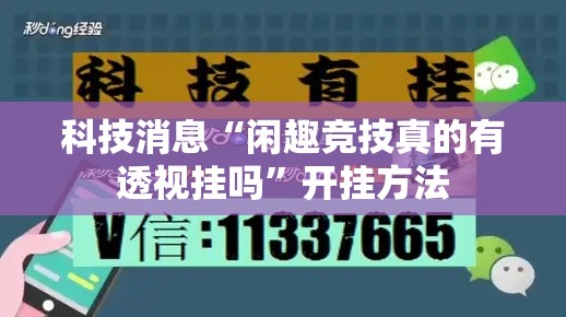 科技消息“闲趣竞技真的有透视挂吗”开挂方法