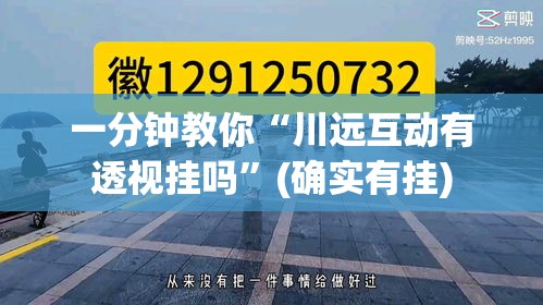 一分钟教你“川远互动有透视挂吗”(确实有挂)