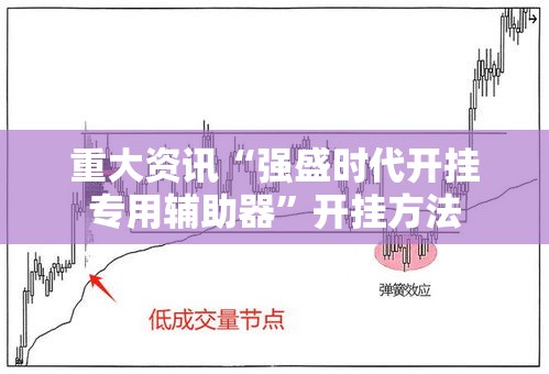重大资讯“强盛时代开挂专用辅助器”开挂方法