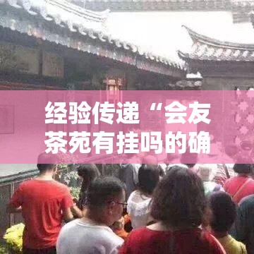 经验传递“会友茶苑有挂吗的确有挂”玩家必备神器