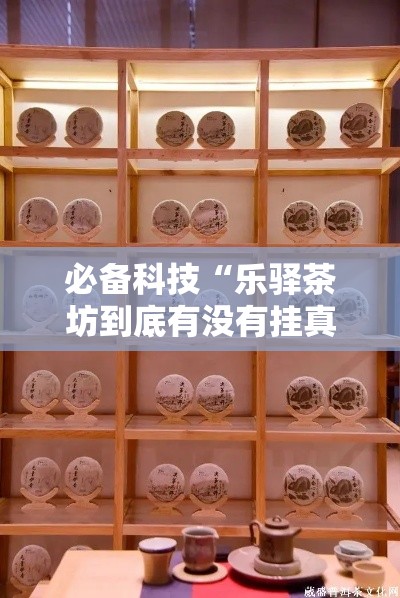 必备科技“乐驿茶坊到底有没有挂真可以装挂