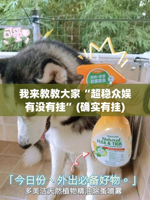 我来教教大家“超稳众娱有没有挂”(确实有挂)