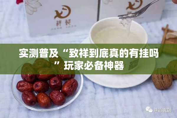实测普及“致祥到底真的有挂吗	”玩家必备神器
