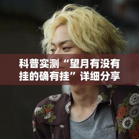 科普实测“望月有没有挂的确有挂”详细分享步骤
