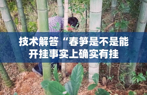 技术解答“春笋是不是能开挂事实上确实有挂 技术解答“春笋是不是能开挂事实上确实有挂