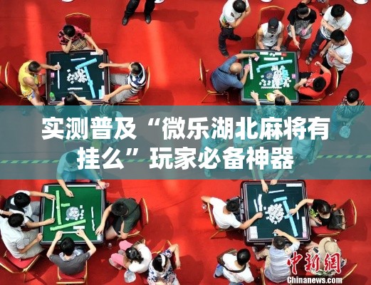 实测普及“微乐湖北麻将有挂么”玩家必备神器