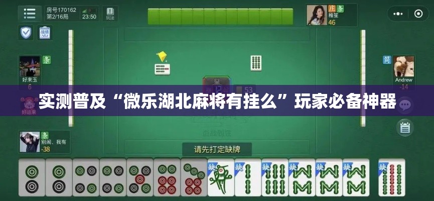 实测普及“微乐湖北麻将有挂么”玩家必备神器