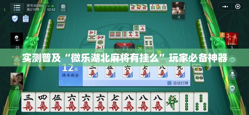 实测普及“微乐湖北麻将有挂么”玩家必备神器