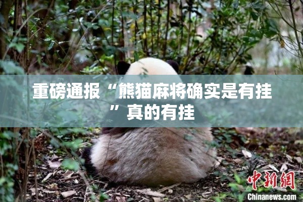 重磅通报“熊猫麻将确实是有挂	”真的有挂