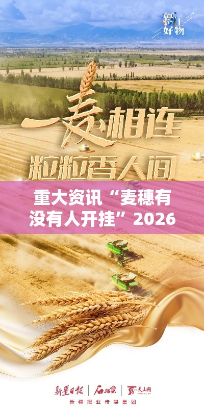 重大资讯“麦穗有没有人开挂	”2026用挂