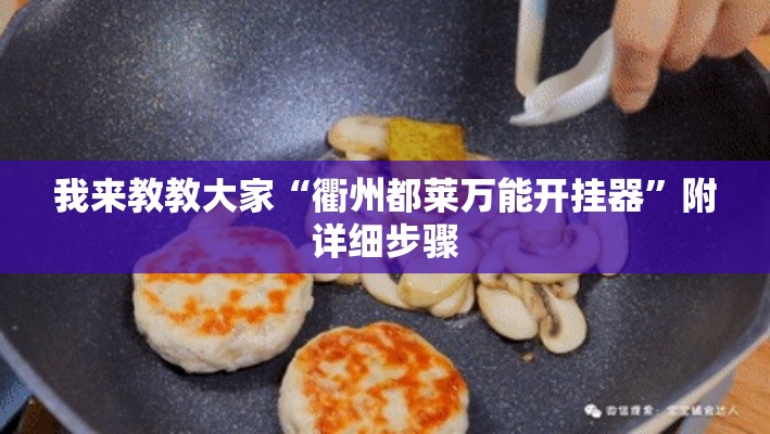 我来教教大家“衢州都莱万能开挂器”附详细步骤