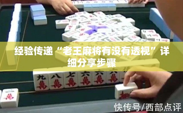 经验传递“老王麻将有没有透视”详细分享步骤
