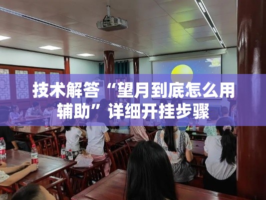 技术解答“望月到底怎么用辅助”详细开挂步骤