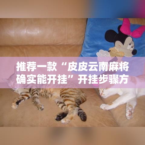 推荐一款“皮皮云南麻将确实能开挂	”开挂步骤方法