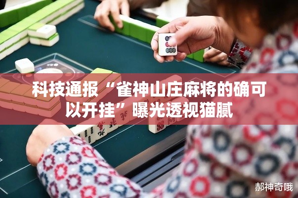科技通报“雀神山庄麻将的确可以开挂”曝光透视猫腻