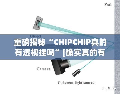 重磅揭秘“CHIPCHIP真的有透视挂吗”[确实真的有挂]