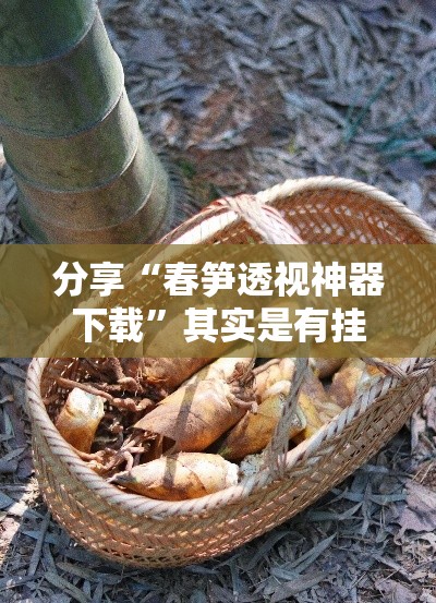 分享“春笋透视神器下载	”其实是有挂