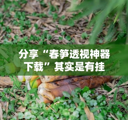 分享“春笋透视神器下载”其实是有挂