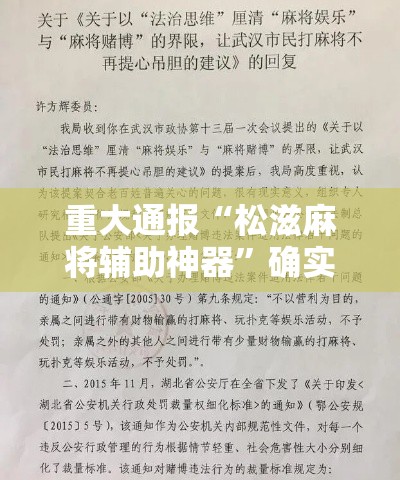 重大通报“松滋麻将辅助神器”确实是有挂的
