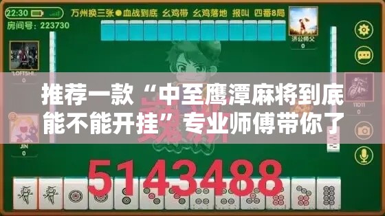 推荐一款“中至鹰潭麻将到底能不能开挂”专业师傅带你了解