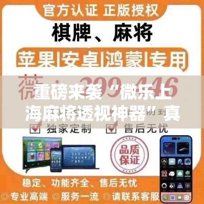 重磅来袭“微乐上海麻将透视神器”真的有挂