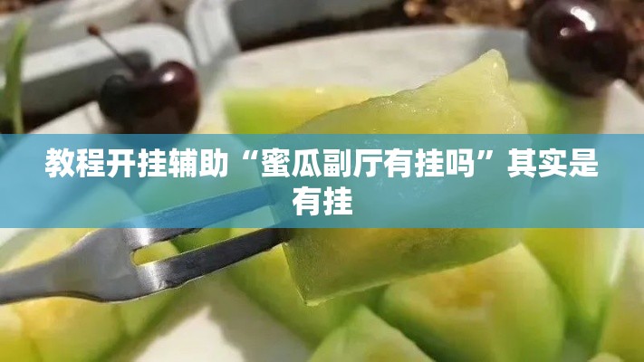 教程开挂辅助“蜜瓜副厅有挂吗”其实是有挂