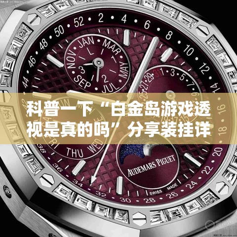 科普一下“白金岛游戏透视是真的吗”分享装挂详细步骤