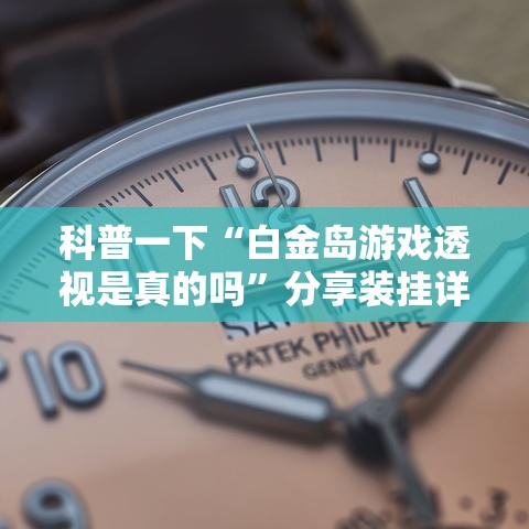 科普一下“白金岛游戏透视是真的吗”分享装挂详细步骤