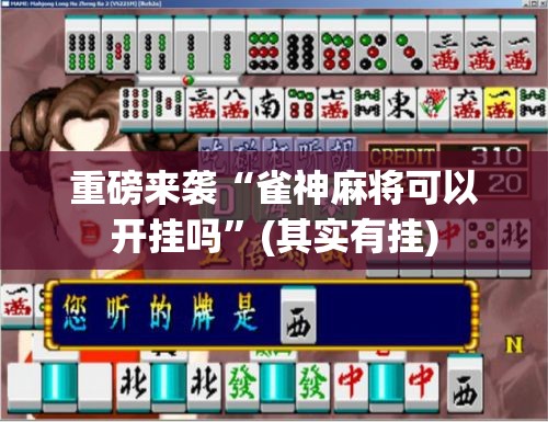 重磅来袭“雀神麻将可以开挂吗”(其实有挂)
