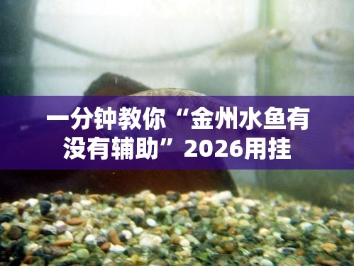 一分钟教你“金州水鱼有没有辅助	”2026用挂