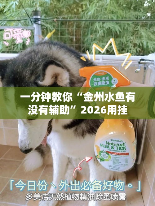 一分钟教你“金州水鱼有没有辅助”2026用挂
