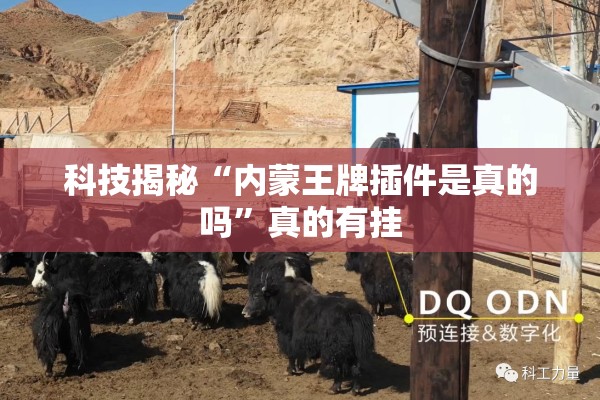 科技揭秘“内蒙王牌插件是真的吗”真的有挂