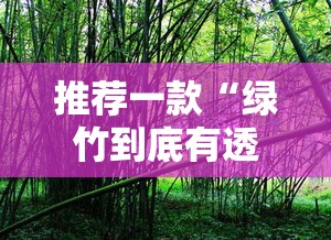 推荐一款“绿竹到底有透视吗 ”专业师傅带你了解