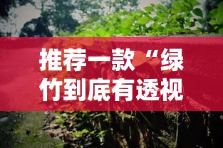 推荐一款“绿竹到底有透视吗 ”专业师傅带你了解