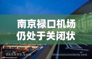 南京禄口机场仍处于关闭状态:南京禄口机场 官方通告