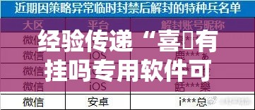 经验传递“喜園有挂吗专用软件可以辅助 经验传递“喜園有挂吗专用软件可以辅助