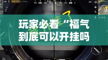 玩家必看“福气到底可以开挂吗”开挂方法