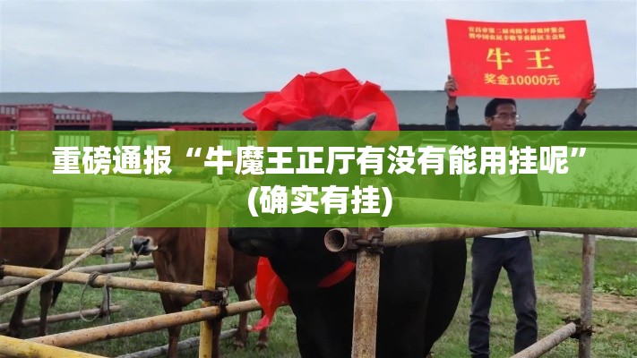 重磅通报“牛魔王正厅有没有能用挂呢”(确实有挂)