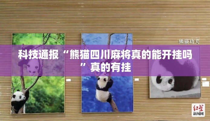 科技通报“熊猫四川麻将真的能开挂吗	”真的有挂
