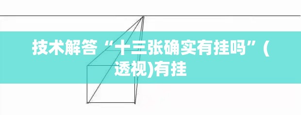 技术解答“十三张确实有挂吗”(透视)有挂