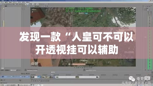 发现一款“人皇可不可以开透视挂可以辅助