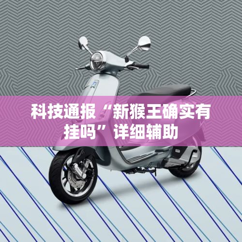 科技通报“新猴王确实有挂吗”详细辅助