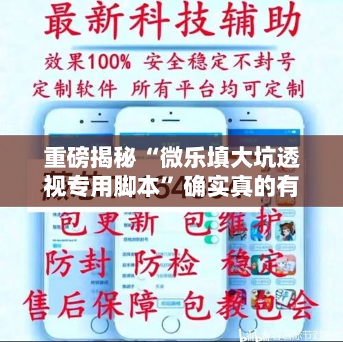 重磅揭秘“微乐填大坑透视专用脚本”确实真的有挂