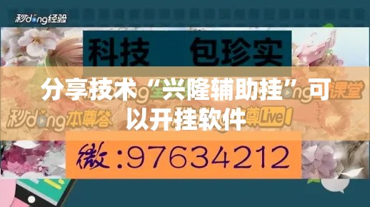 分享技术“兴隆辅助挂”可以开挂软件