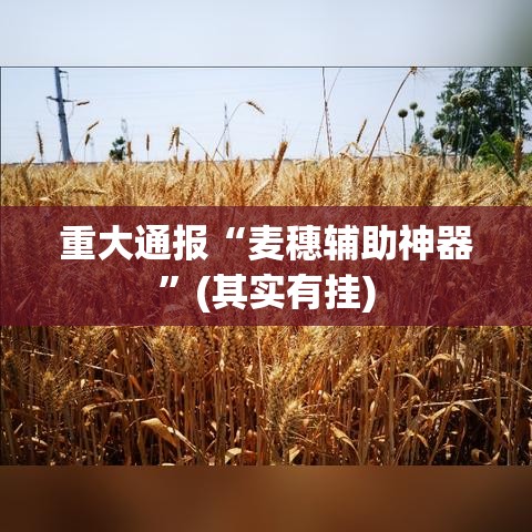 重大通报“麦穗辅助神器”(其实有挂)
