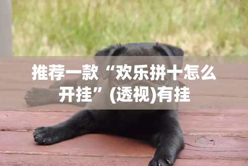 推荐一款“欢乐拼十怎么开挂”(透视)有挂