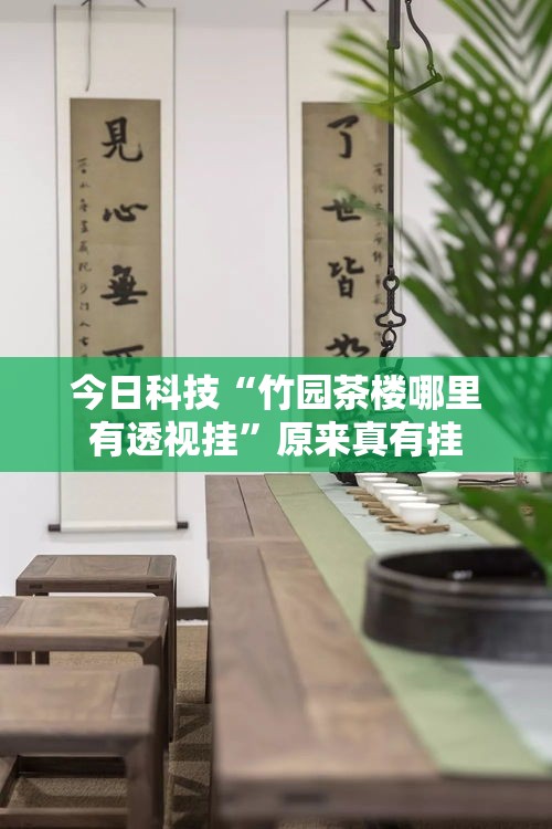 今日科技“竹园茶楼哪里有透视挂”原来真有挂